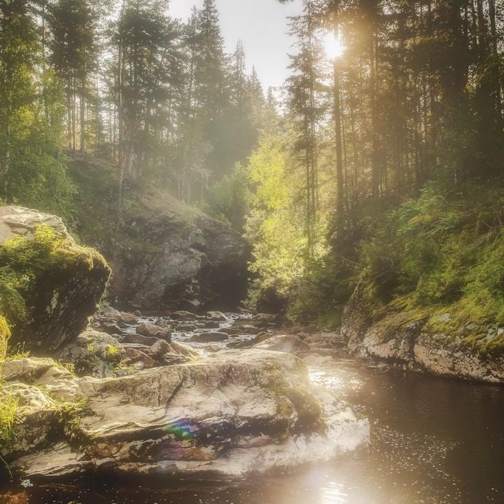 Nature travel hero image